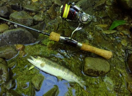 渓流ミノーイング ～長良川水系～